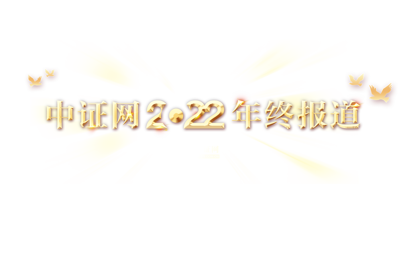 中证网2022年终报道