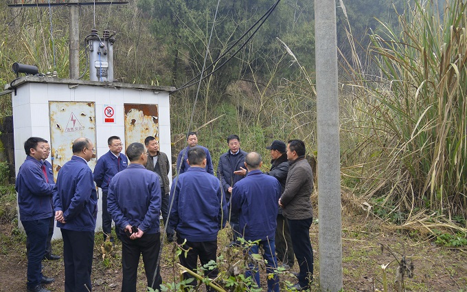 明星电力董事长秦怀平（右4）率相关人员进行低电压整治现场办公.jpg