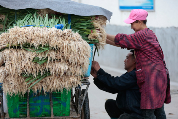 ������ʦ������13�귭20�� ��Ȼ��������ϣ��