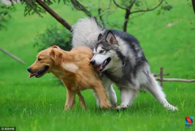 �������Ĺ�˾ҲҪ���� ׬ǮЧ����ɱ��ʦ��