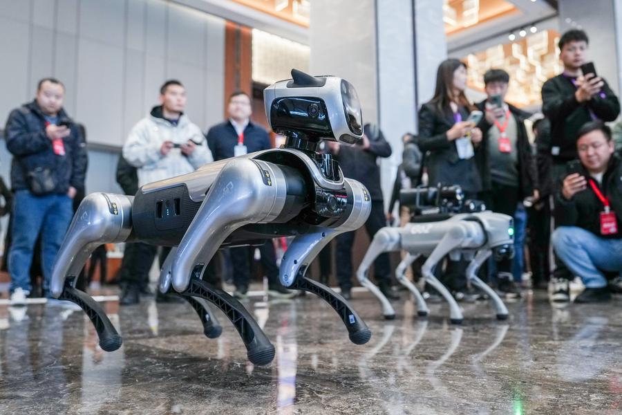 机器狗.jpg