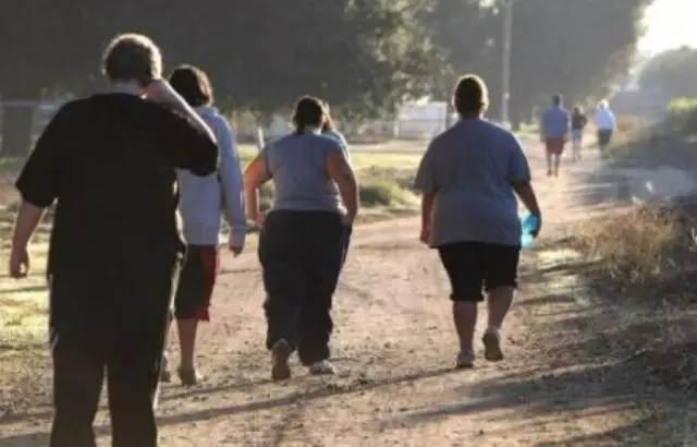 ���ֺ�����