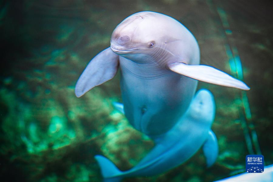 ���»�ȫýͷ�����ܽ������� ������ʱ�����Ƿ�ʮ�ꡤͼ�Ļ�������6��������������д��������չ��ƪ��