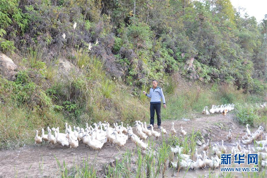 ����ս��ʤ��ƶ���ᡤͼ�Ļ�������2��������Ѽ�ġ���ˮͨ��ƶ��