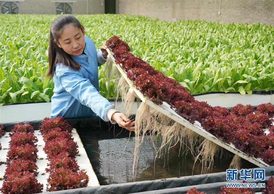 ���»�ȫýͷ����ͼ�Ļ�������2��ϰ��ƽ�ķ�ƶ����