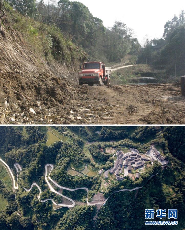 ���»�ȫýͷ����ͼ�Ļ�������5��ϰ��ƽ�ķ�ƶ����