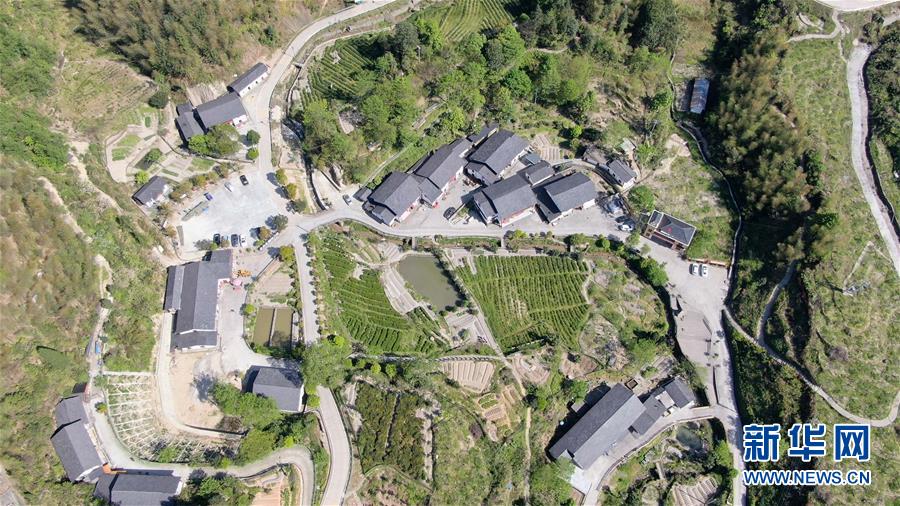 ���»�ȫýͷ����ͼ�Ļ�������9��ϰ��ƽ�ķ�ƶ����