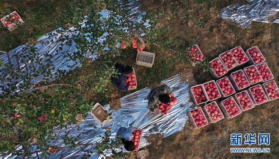 ���»�ȫýͷ����ͼ�Ļ�������19��ϰ��ƽ�ķ�ƶ����