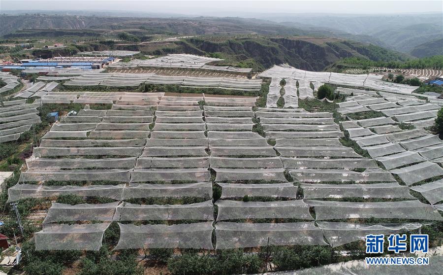 ���»�ȫýͷ����ͼ�Ļ�������1��ϰ��ƽ�ķ�ƶ����