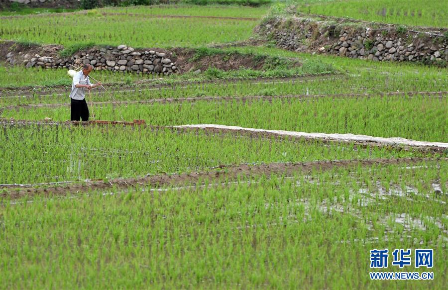 ���»�ȫýͷ�����������ǵ�С�����ͼ�Ļ�������11����ɽ��С��¼ҡ��������ɽ�����ִ��桰����ɽ��ͼ��