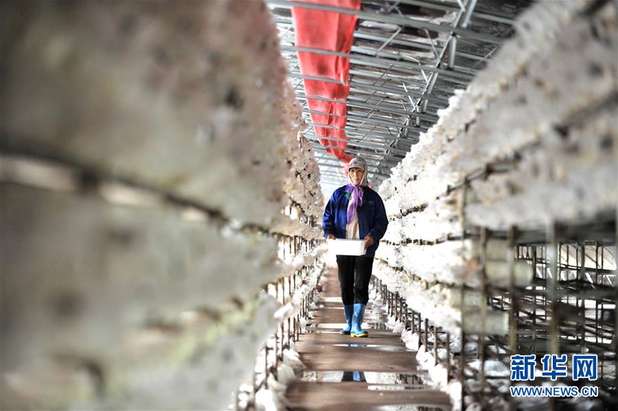 ��ϰ��ƽ��С�����¡�ͼ�Ļ�������6�����Һ����ε�һ���£������������Ǳ���һ���⡱����ϰ��ƽ����ƶ����Ĺ���