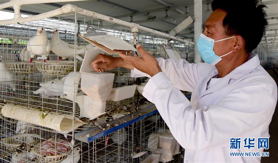 ����ƶ���ᣩ��1������ȷɽ�������¸�