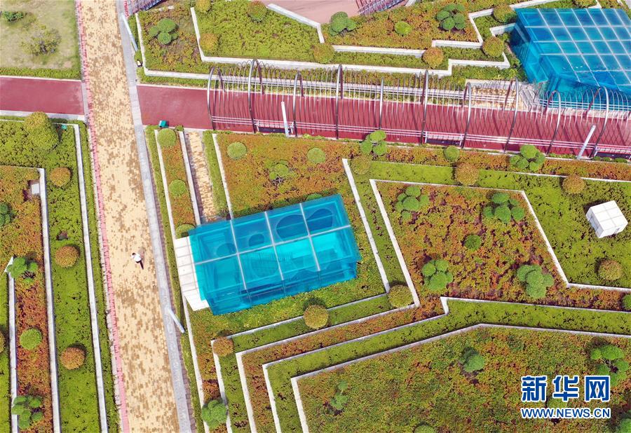 ���������ǵ�С�����ͼ�Ļ�������2��15���ӡ�Ȧ������������