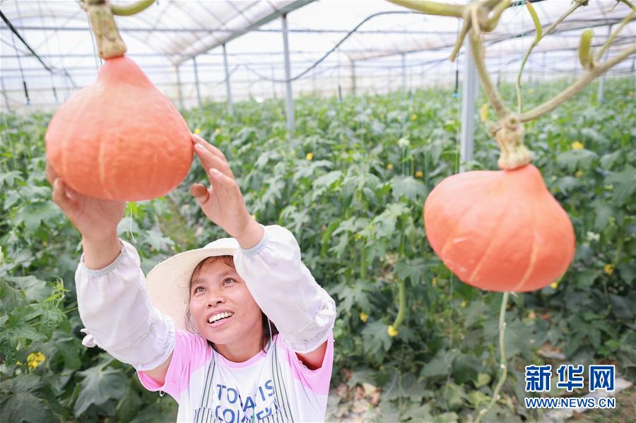 ���������ǵ�С�������ս��ʤ��ƶ���ᡤͼ�Ļ�������2����ɽͻΧ��