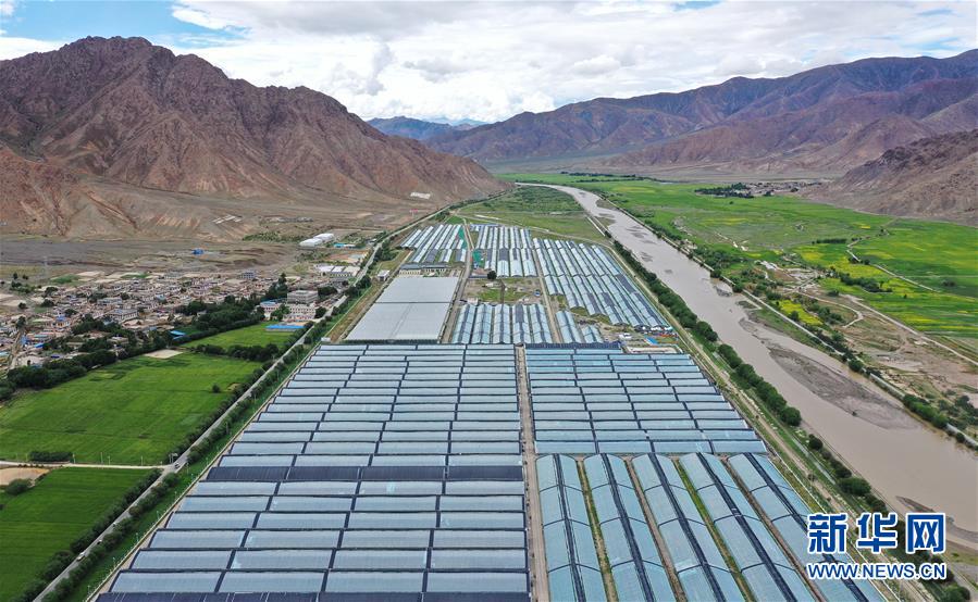 ���������ǵ�С�������ս��ʤ��ƶ���ᡤͼ�Ļ�������2����ԭϲ�����ٹ��̡������������ݼ����ϵ��߲˷�չ�漣