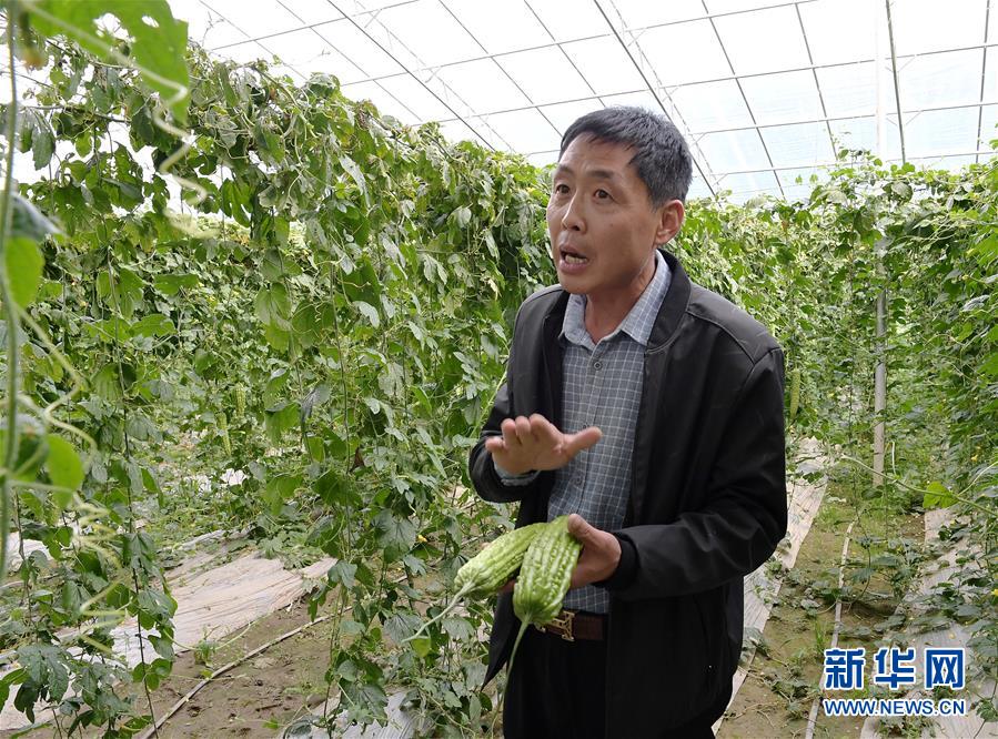 ���������ǵ�С�������ս��ʤ��ƶ���ᡤͼ�Ļ�������4����ԭϲ�����ٹ��̡������������ݼ����ϵ��߲˷�չ�漣