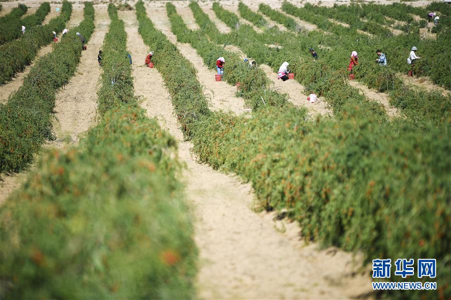 ���»�ȫýͷ�����������ǵ�С�����ͼ�Ļ�������7��23���˵�����ת�ۡ����ҹ�����׵���̬������������ƶ����