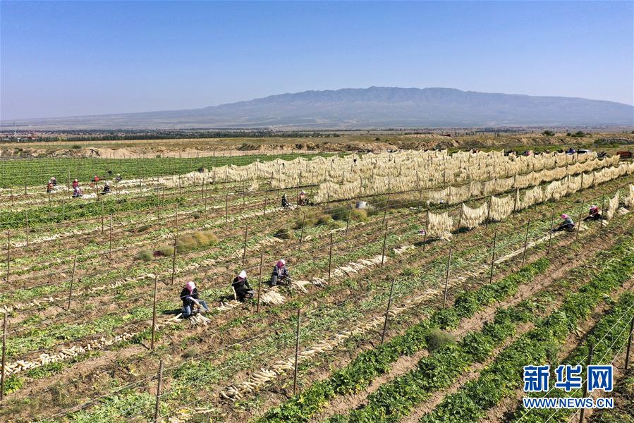 ���»�ȫýͷ�����������ǵ�С�����ͼ�Ļ�������8��23���˵�����ת�ۡ����ҹ�����׵���̬������������ƶ����