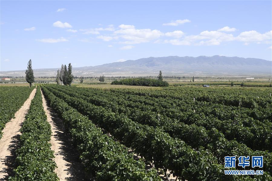 ���»�ȫýͷ�����������ǵ�С�����ͼ�Ļ�������9��23���˵�����ת�ۡ����ҹ�����׵���̬������������ƶ����