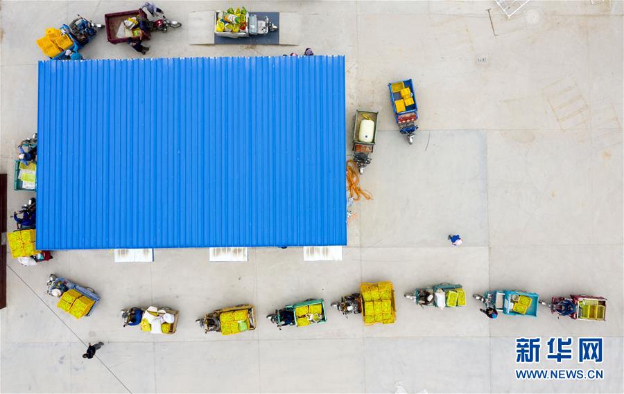 ���»�ȫýͷ�����������ǵ�С�����ͼ�Ļ�������10��23���˵�����ת�ۡ����ҹ�����׵���̬������������ƶ����