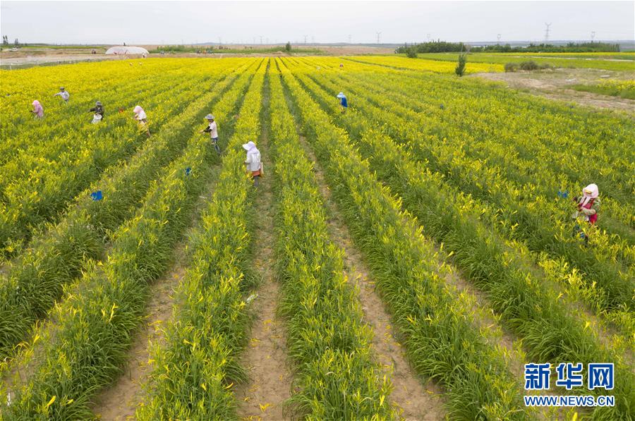 ���»�ȫýͷ�����������ǵ�С�����ͼ�Ļ�������11��23���˵�����ת�ۡ����ҹ�����׵���̬������������ƶ����