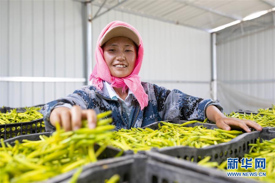 ���»�ȫýͷ�����������ǵ�С�����ͼ�Ļ�������12��23���˵�����ת�ۡ����ҹ�����׵���̬������������ƶ����