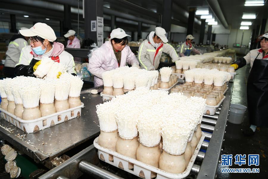 ���������ǵ�С�����ͼ�Ļ�������2�����ɡ�ͬ�ġ�սƶ��