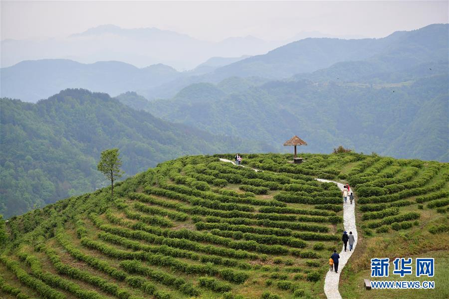 ���»�ȫýͷ�����������ǵ�С�����ͼ�Ļ�������5��ۏ����ɫС��·���������ذ�ɽ������ƶ���