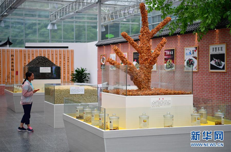 ���»�ȫýͷ�����������ǵ�С�����ͼ�Ļ�������4��ۏ����ɫС��·���������ذ�ɽ������ƶ���