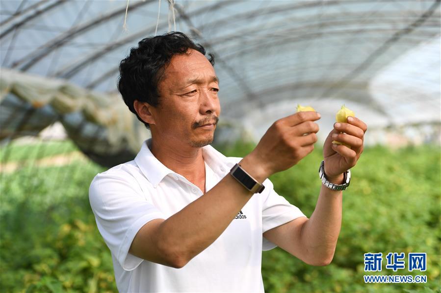 ���»�ȫýͷ�����������ǵ�С�����ͼ�Ļ�������7�������������Ҽҡ����ڼ��֣�һƳ�й������������δ��