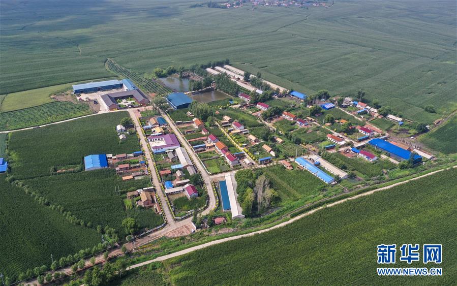 ���»�ȫýͷ�����������ǵ�С�����ͼ�Ļ�������12�������������Ҽҡ����ڼ��֣�һƳ�й������������δ��