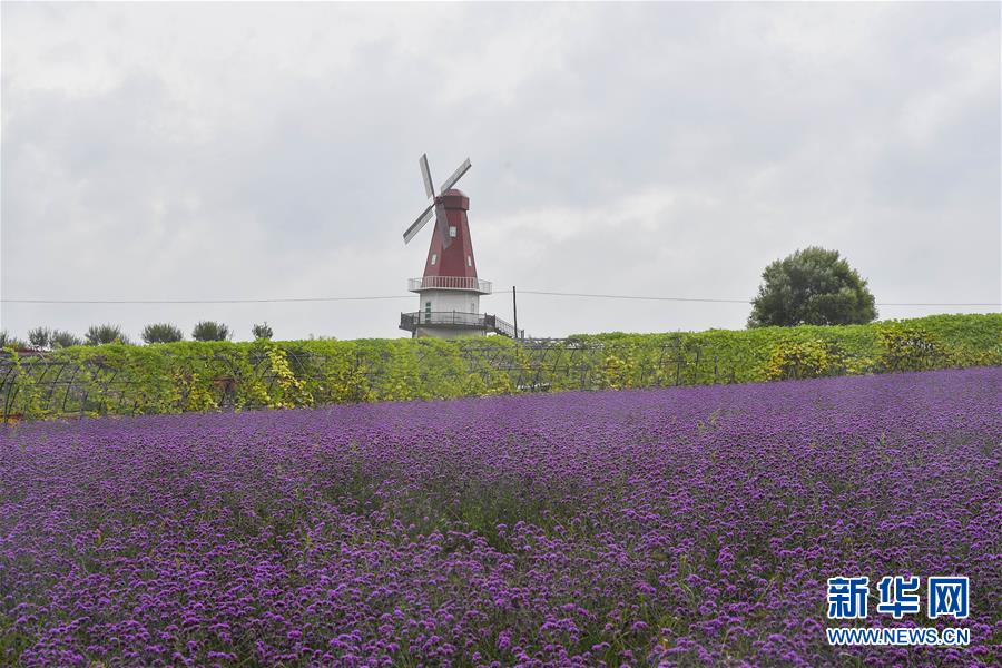 ���»�ȫýͷ�����������ǵ�С�����ͼ�Ļ�������6�������������Ҽҡ����ڼ��֣�һƳ�й������������δ��