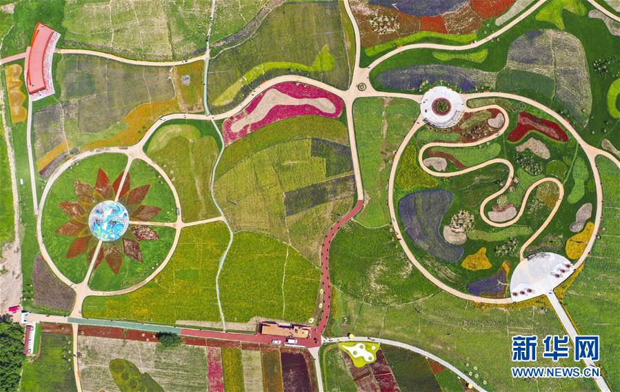 ���»�ȫýͷ�����������ǵ�С�����ͼ�Ļ�������2�������������Ҽҡ����ڼ��֣�һƳ�й������������δ��