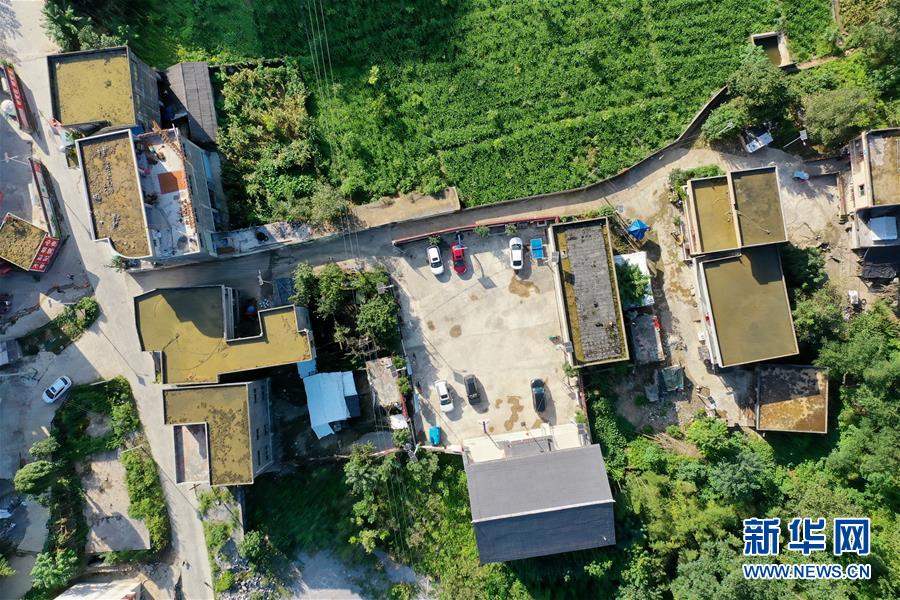 ���»�ȫýͷ�����������ǵ�С�������ս��ʤ��ƶ���ᡤͼ�Ļ�������6��ǧ��֮�ʽ񳯽⡪������ƶ��Ⱥ��ʵ�֡���ˮ���