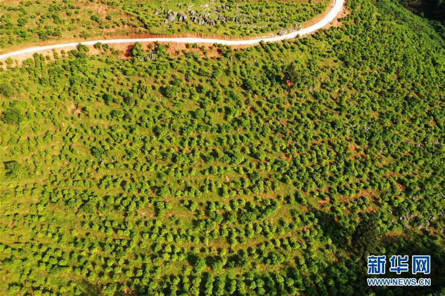 �����ã���3�����죺���ڡ���Ѫ������ҵ ����ũ����ƶ����