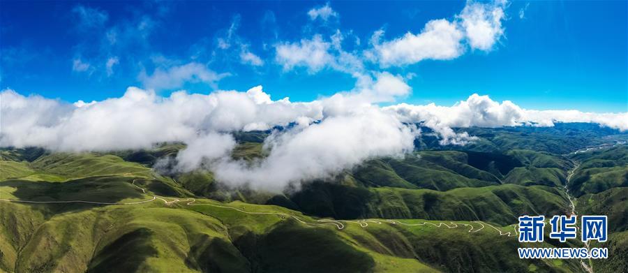 ����ƶ���ᣩ��1���ƶˡ���·������ƶ