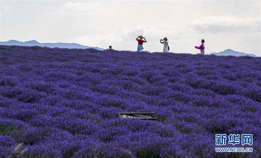 ����ᣩ��1���½�������ɫ���̾��¸�·