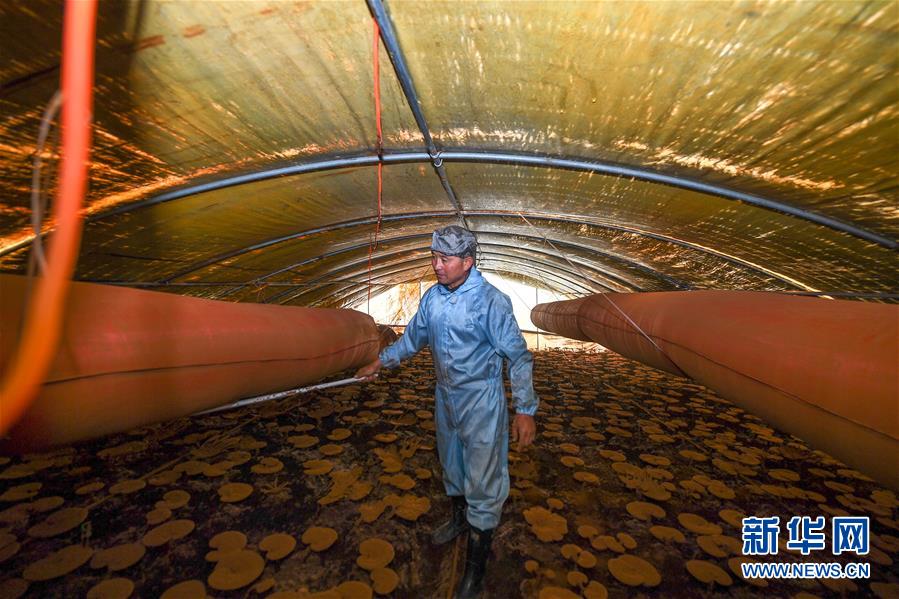 ����ս��ʤ��ƶ���ᡤͼ�Ļ�������2���ӡ������ƶ��������ͷ��ƶ���������־���������һλ����ƶӢ�ۡ�