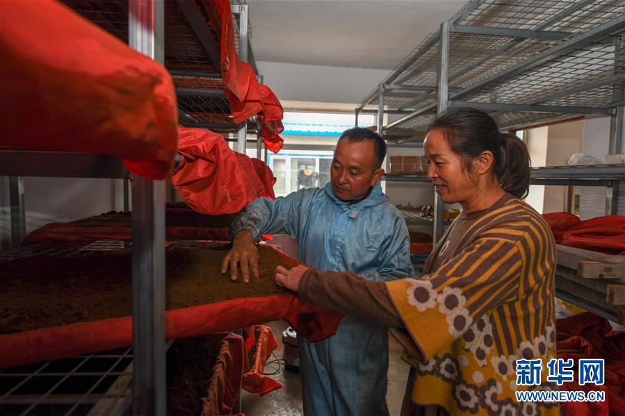 ����ս��ʤ��ƶ���ᡤͼ�Ļ�������5���ӡ������ƶ��������ͷ��ƶ���������־���������һλ����ƶӢ�ۡ�